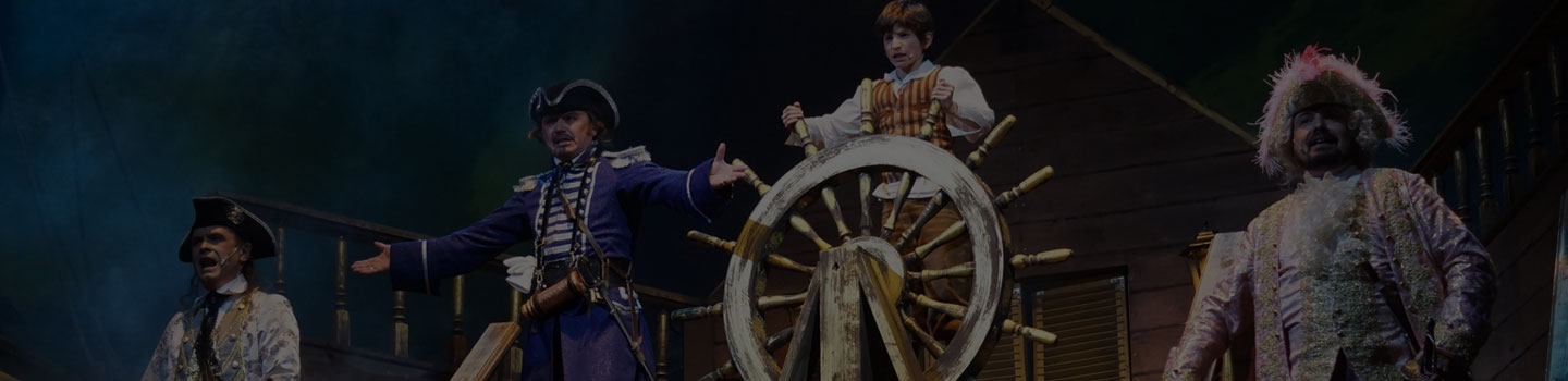 Цирковой мюзикл Остров сокровищ